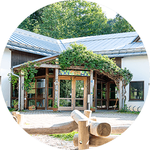 Efeubewachsener Eingang des Kindergartens